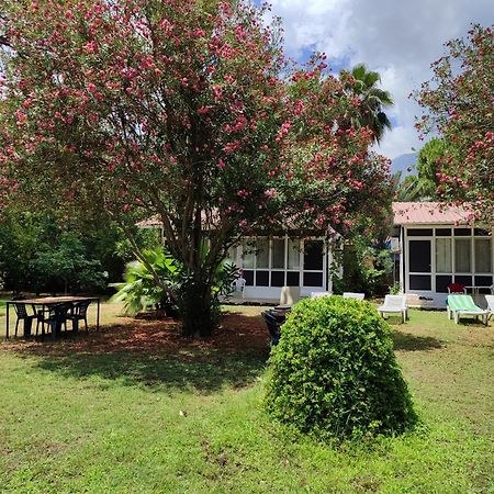 Kuecuek Ev Bed & Breakfast Kumluca Dış mekan fotoğraf